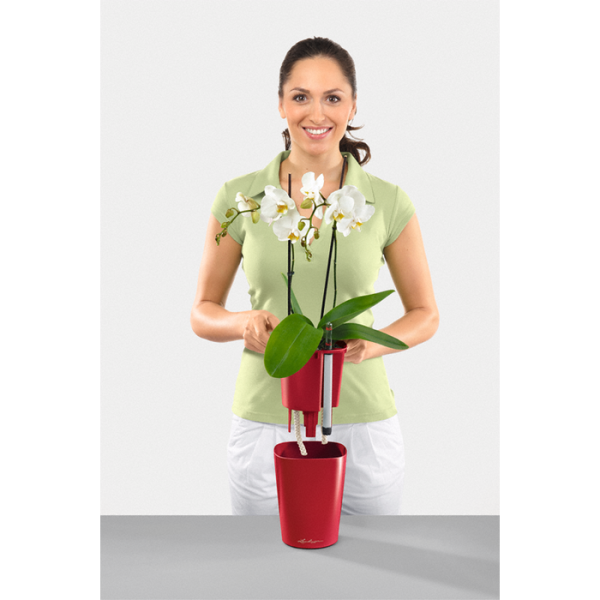 2011product_gallery_photo_0947267c-cbdd-4065-982f-26f900dd5108.png Кашпо с системой автополива LECHUZA Дельтини — изображение 3