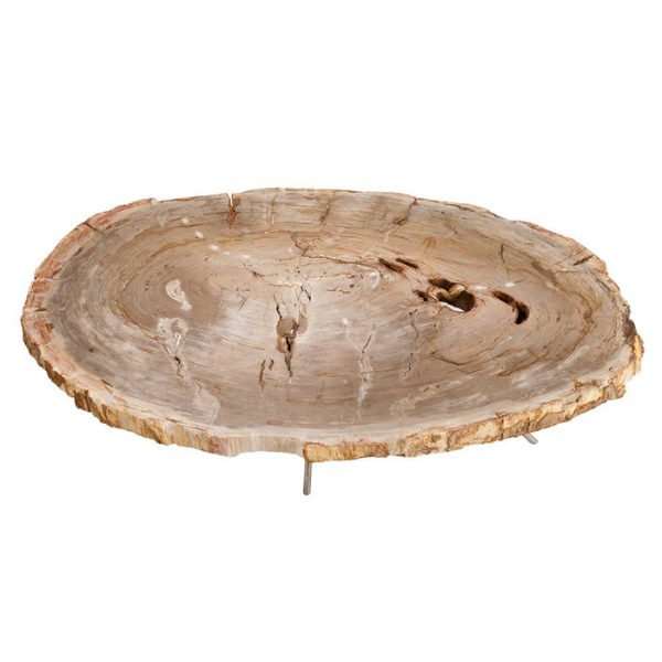 Журнальный столик  Coffee Table Barrymore с оригинальной столешницей из окаменелой древесины  — изображение 2