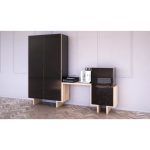 Шкаф Bdesign Ecocomb-1 ясень черный глянец