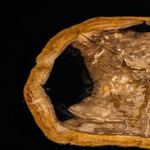 Журнальный столик  Villiers с оригинальной столешницей из окаменелой породы древесины — изображение 4