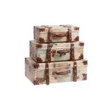 Кейс для хранения Darwin Madia — изображение 5