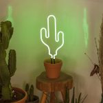 Лампа неоновая Doiy cactus — изображение 2