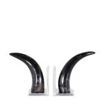 Набор из 2-х держателей для книг и журналов  Bookend Horn из металла 