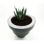 Большой бетонный горшок серый — изображение 2