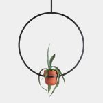 Кашпо Пояс Койпера