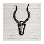 Рога животного на деревянном основании 57x33x38 см — изображение 2