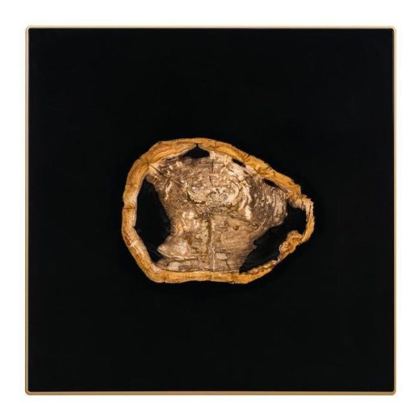 Журнальный столик  Villiers с оригинальной столешницей из окаменелой породы древесины — изображение 3