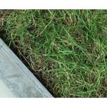 Интерьерное кашпо — изображение 2