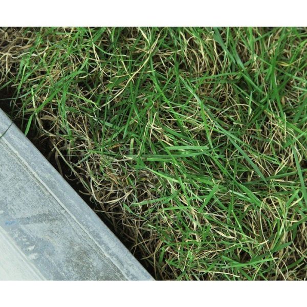 Интерьерное кашпо — изображение 2