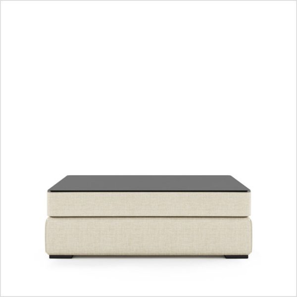 Модуль Plat Glass Square Tray — изображение 2