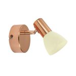 Спот Eglo Glossy