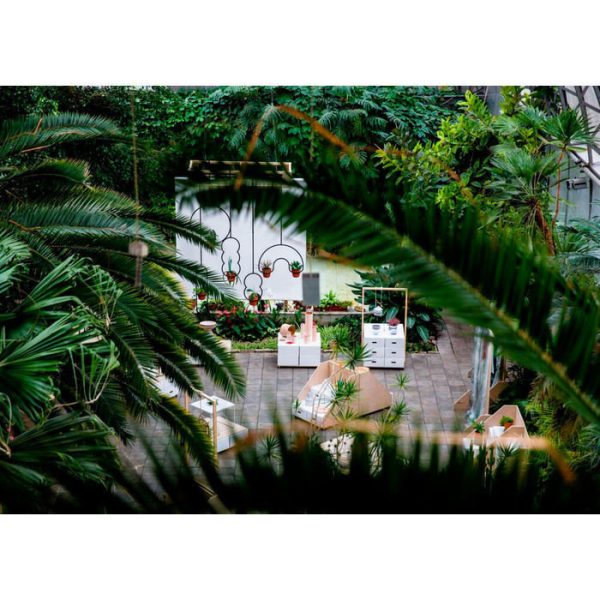 Кашпо Пояс Койпера — изображение 6