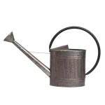 Лейка из нержавеющей стали Aladdin