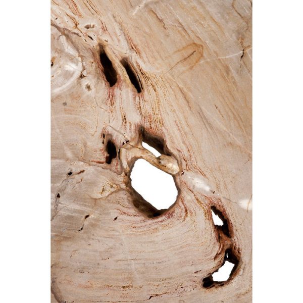 Журнальный столик  Coffee Table Barrymore с оригинальной столешницей из окаменелой древесины  — изображение 4