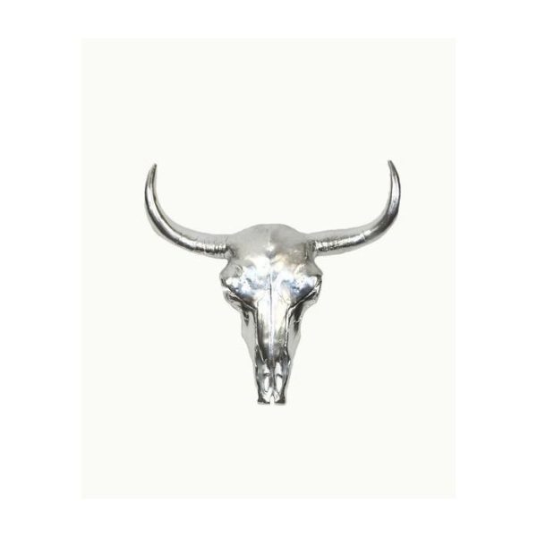 2483product_gallery_photo_1708b2dc-c7f1-4f4c-ba9e-5e6ab8817016.jpg ДЕКОРАТИВНЫЙ ЧЕРЕП БИЗОНА — изображение 1