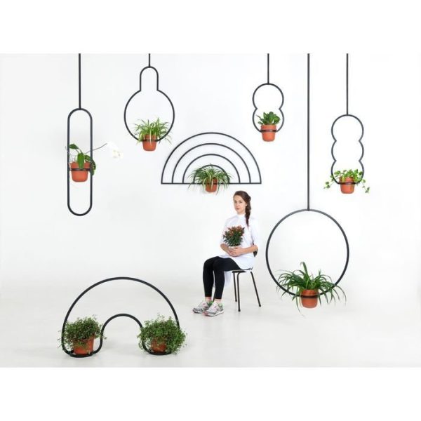 Кашпо Пояс Койпера — изображение 7