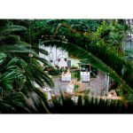 Кашпо Пояс Койпера — изображение 5