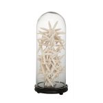 Декоративная стеклянная колба  Bell Jar на деревянном основании