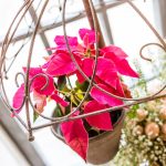 Цветочная пирамида «Рио» — изображение 4