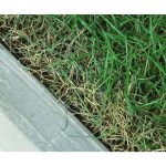 Интерьерное кашпо — изображение 3