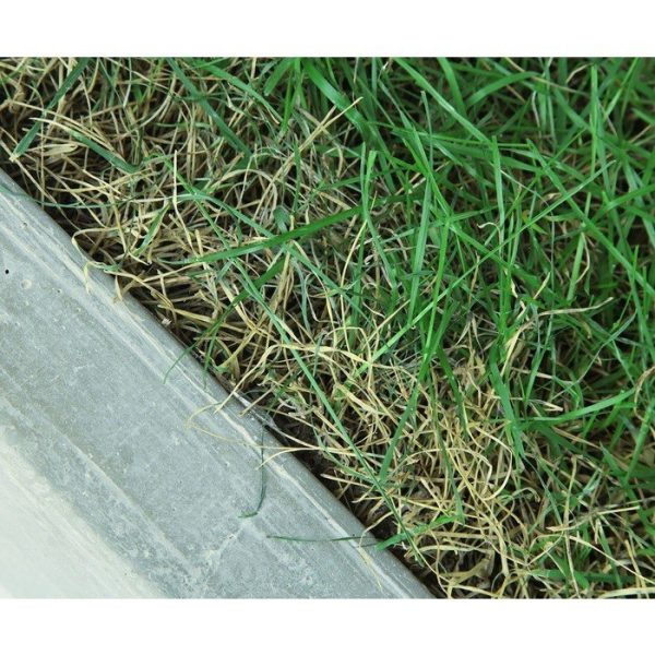 Интерьерное кашпо — изображение 3