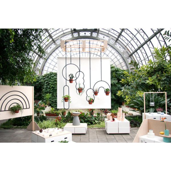 Кашпо Пояс Койпера — изображение 5