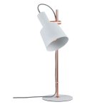 Настольная лампа Paulmann Mare из металла