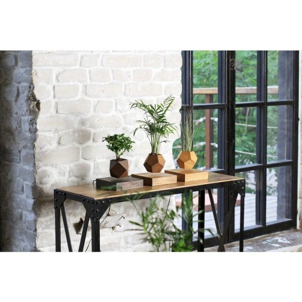 Левитирующие растения  Леплант Бонсай темный — изображение 6