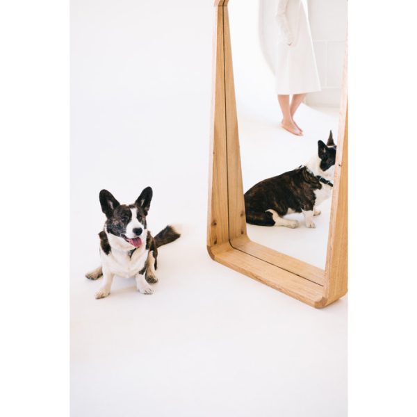 Зеркало Espas ЭЙФЕЛЬ — изображение 8