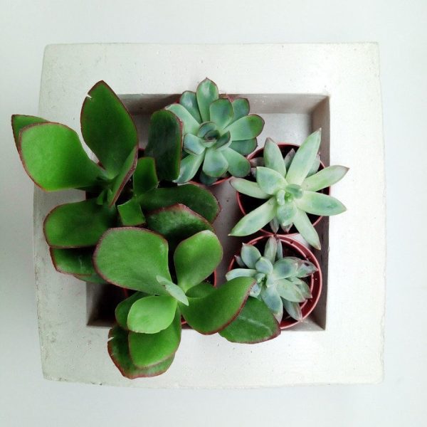 КВАДРАТНОЕ БЕТОННОЕ КАШПО белое — изображение 4