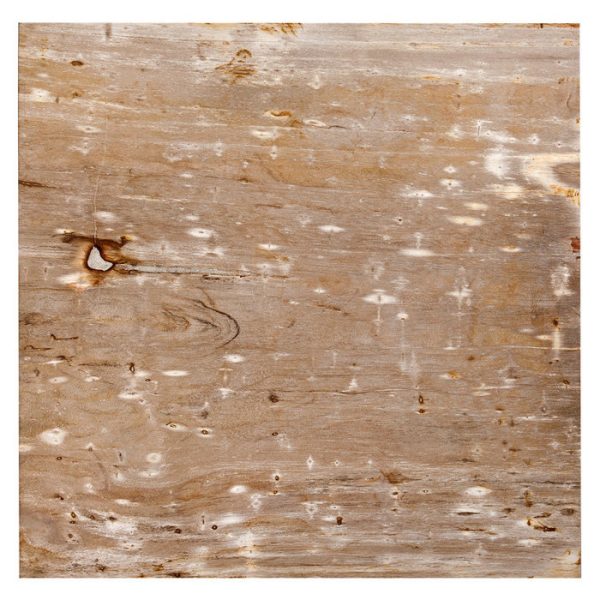 Приставной Журнальный столик  Wood из окаменелой породы древесины и нержавеющей стали — изображение 3