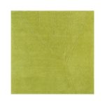 Ковер NOW CARPETS Leaf 300х200 см