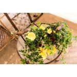 Кашпо Ажони королевская бронза L — изображение 5