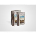 Шкатулка  в виде старинных книг 26/21x17/13x5/4 см