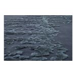 Ковер NOW CARPETS Brazil  300х250 см — изображение 2