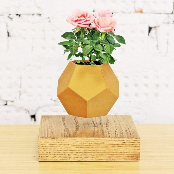 Левитирующие растения  Леплант темный (без растений)  — изображение 3