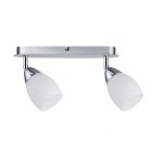 Спот Paulmann Wolba 