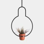 Кашпо Пояс Койпера