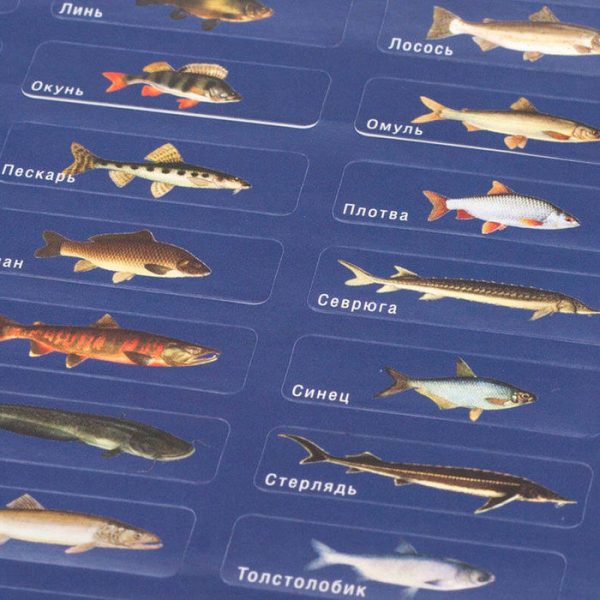 Карта-игра настенная 1&2 team «истории рыбацких подвигов» — изображение 3