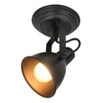 Спот SILVER LIGHT Bastille