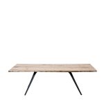 Прямоугольный обеденный стол Autumn Table  