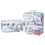 Набор из 3-х чемоданчиков для игрушек