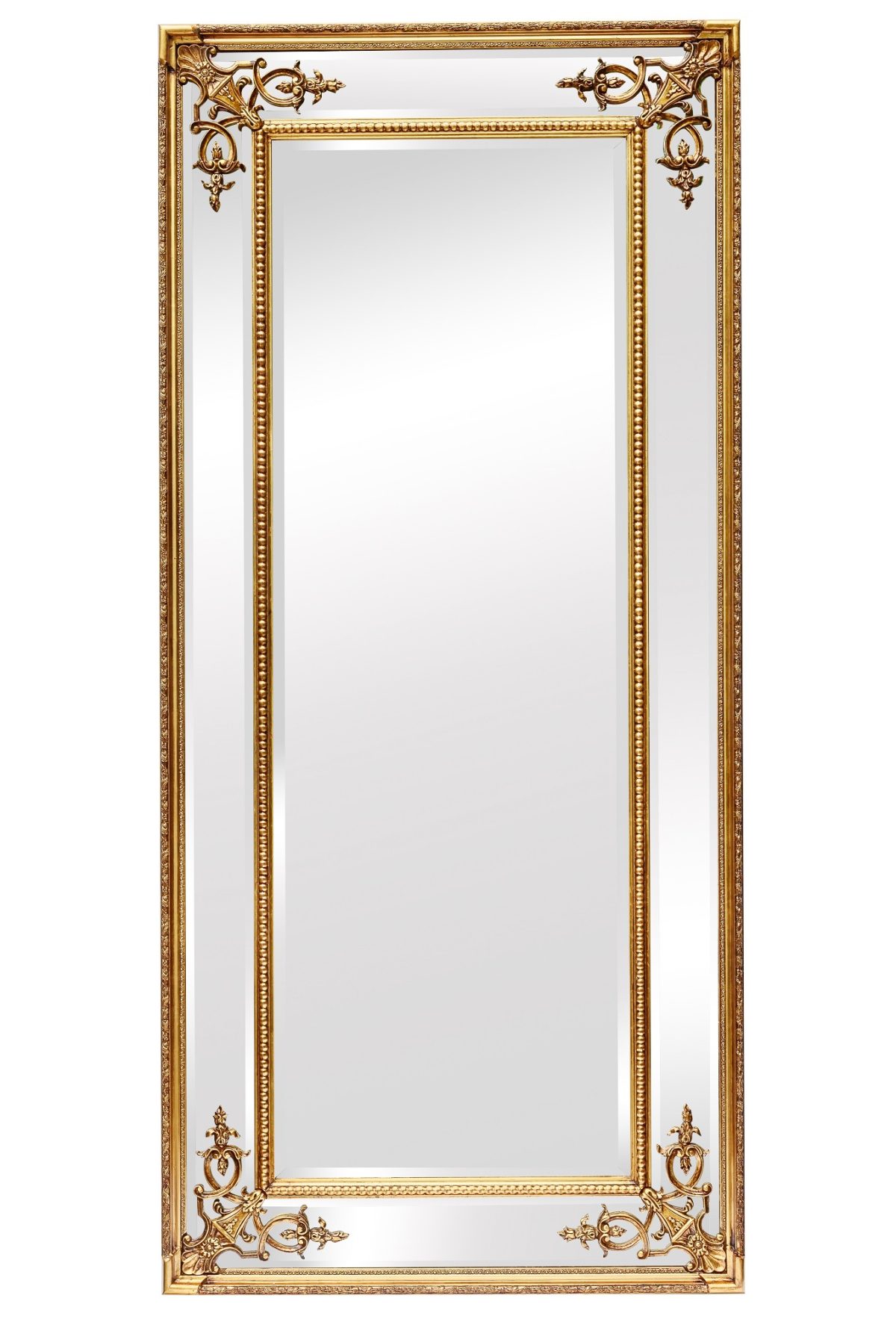 Напольное зеркало в раме Roberto Gold фото и цена, купить