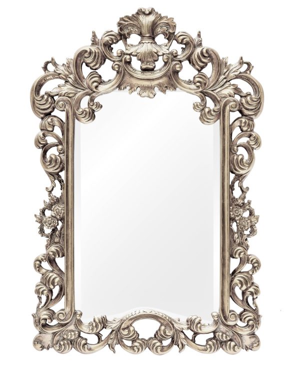 Зеркало в резной раме Floret Silver фото и цена, купить