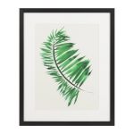 Постер Palm I 43х53