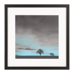 Постер The Lone Tree  42,6х42,6