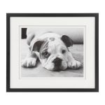 Постер Pudding 42,6х49,6