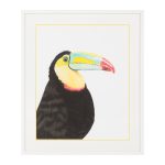 Постер Toucan 64,6х75,6