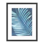 Постер Indigo Kentia 42,6х52,6