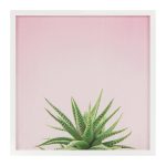 Постер Aloe 74,4х74,4